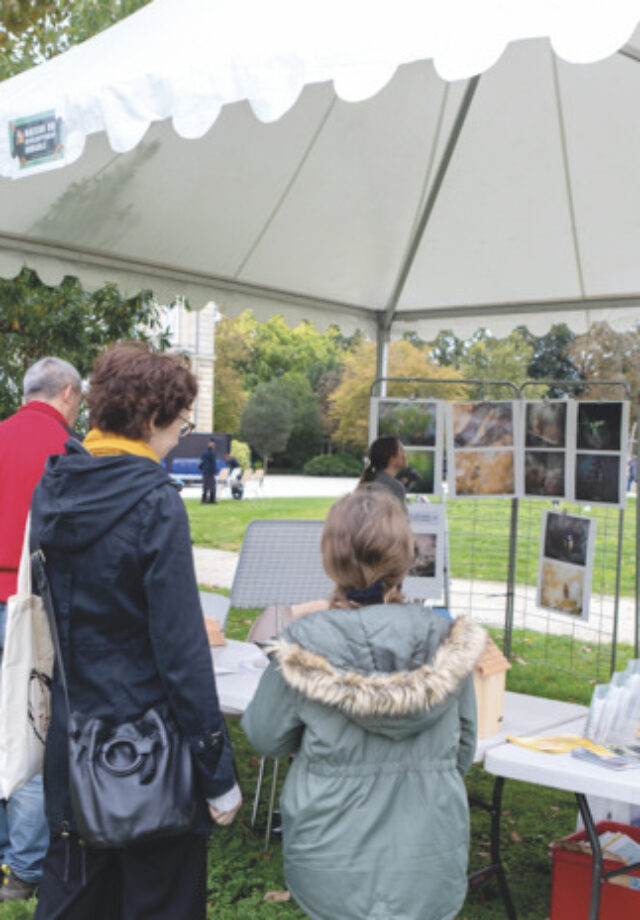 Journée de la transition écologique et sociale
