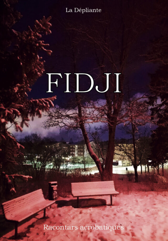 Spectacle – Fidji, racontars acrobatiques (Compagnie La Dépliante)