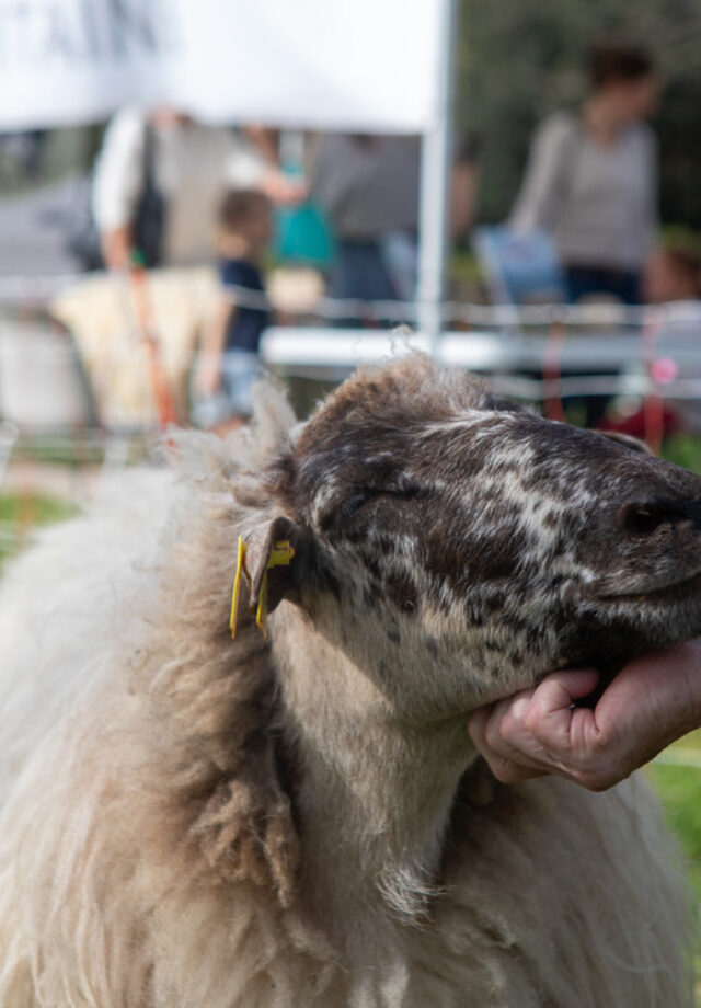 Ferme pédagogique mobile