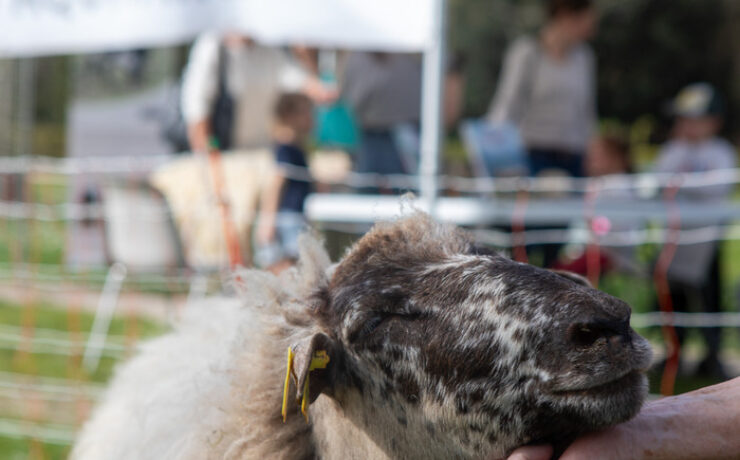 Ferme pédagogique mobile