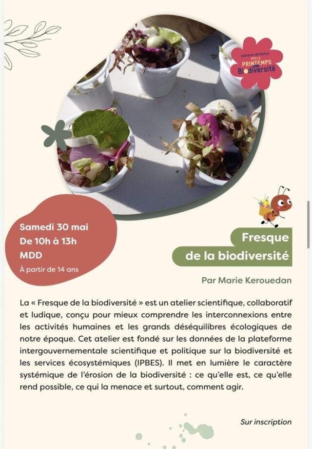 Fresque de la biodiversité