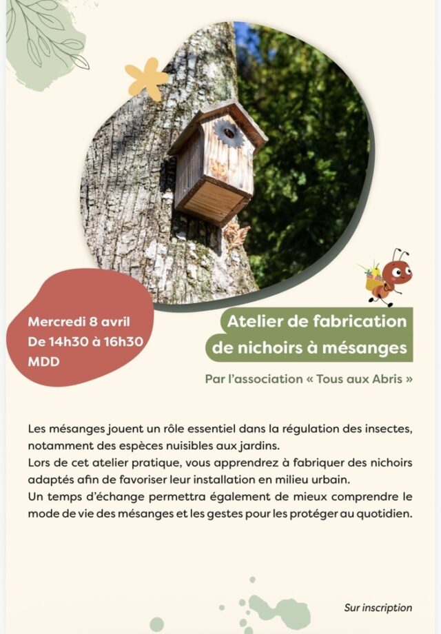 Atelier fabrication de nichoirs à mésanges