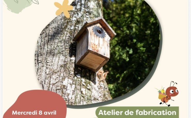 Atelier fabrication de nichoirs à mésanges