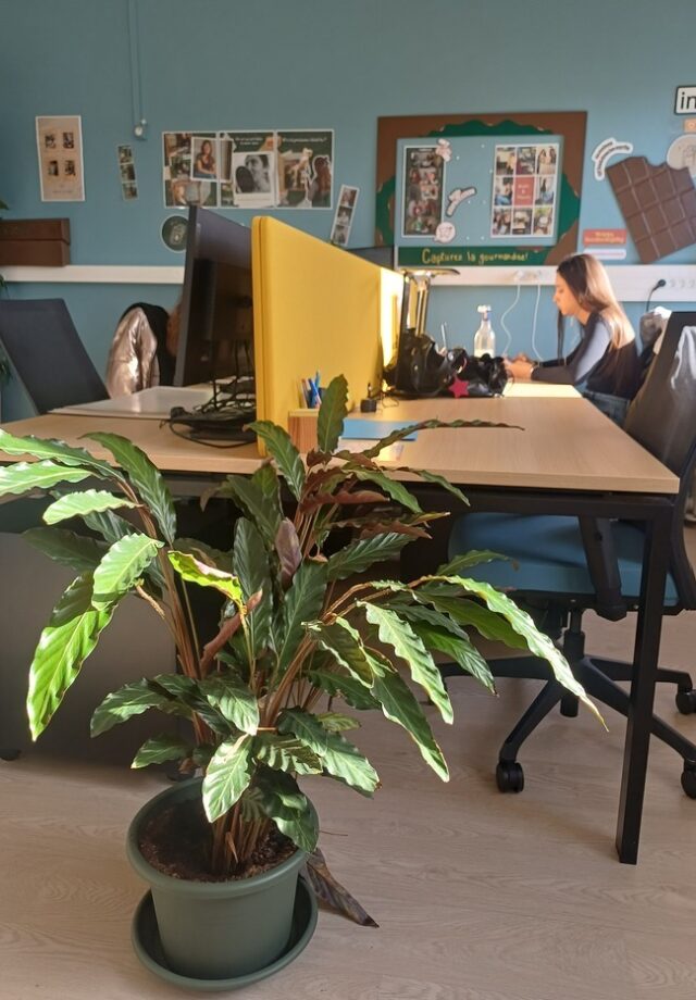 Réunion d’information – Appel à projets 2026, Incubateur à impact de Talence