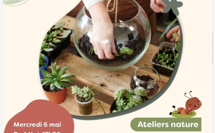 Ateliers nature enfants : Jardin miniature & Kokedama