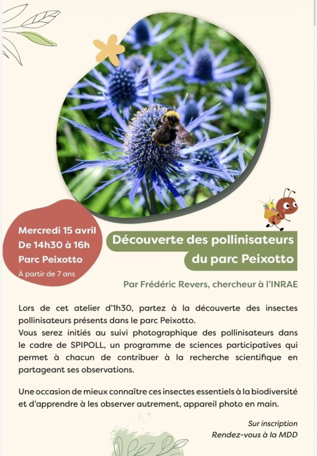 Découverte des pollinisateurs du parc Peixotto