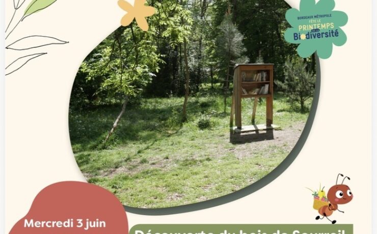 Découverte du bois de Sourreil