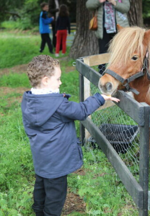 Ferme pédagogique itinérante – Château de Thouars
