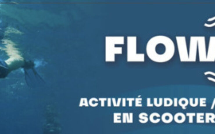 Flow pulse