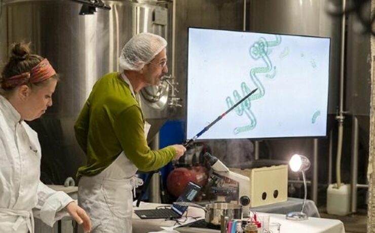 Les microbes ont-ils bon goût ?